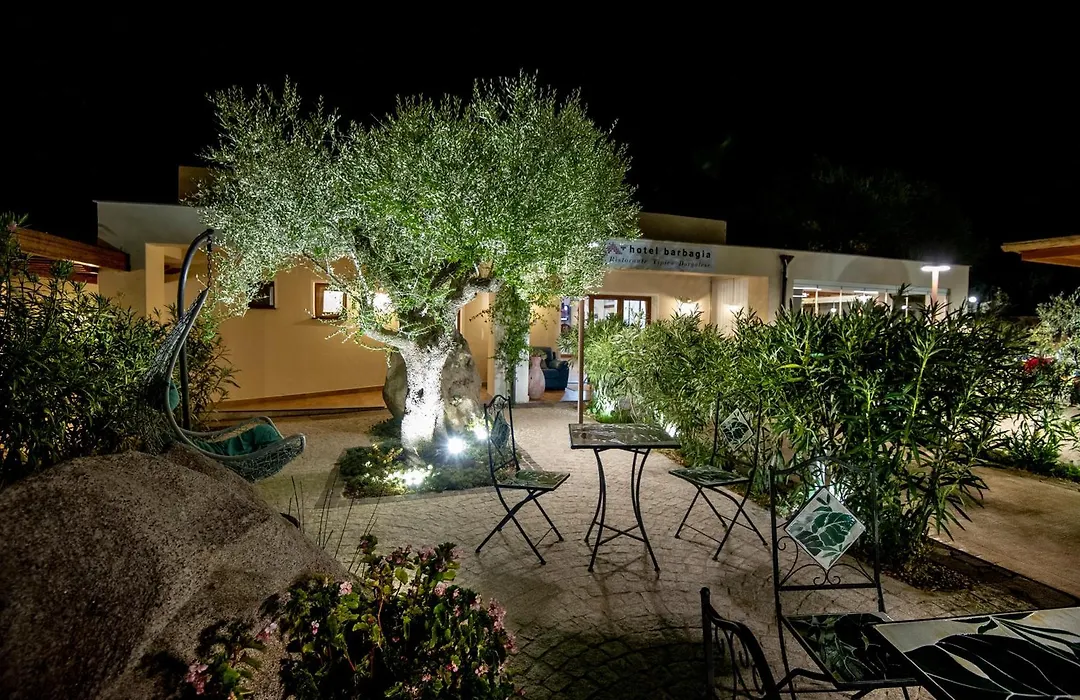 Hotel Barbagia-1